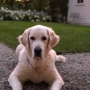 Meet your Posher, Skylar